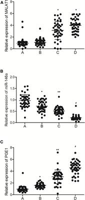 Effect of Methylation Status of lncRNA-MALAT1 and MicroRNA-146a on Pulmonary Function and Expression Level of COX2 in Patients With Chronic Obstructive Pulmonary Disease
